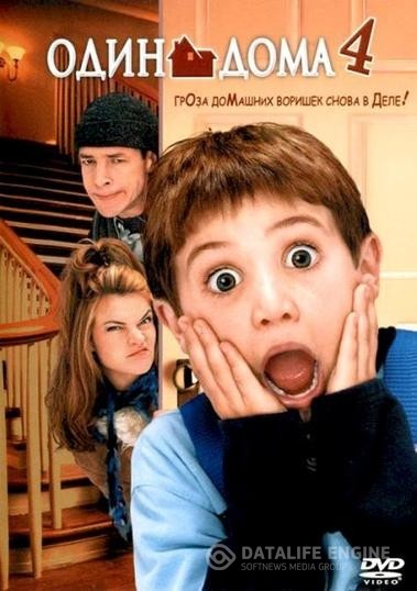   4 / Home Alone 4 (2002)