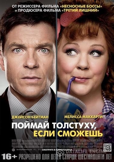  ,   / Identity Thief (2013)