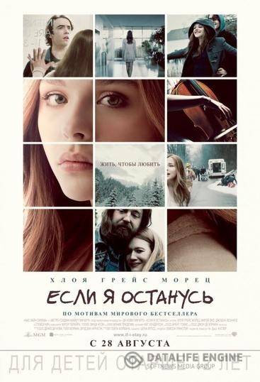    / If I Stay (2014)