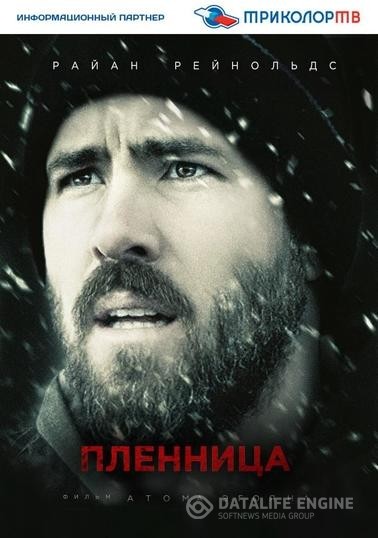  / The Captive (2013)