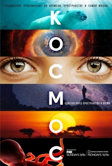 :    / Cosmos: A Spacetime Odyssey (2014)