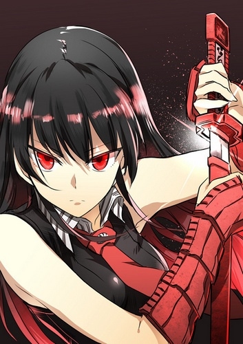  ! / Akame ga Kill! (2014)