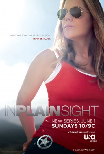    / In Plain Sight (2008)