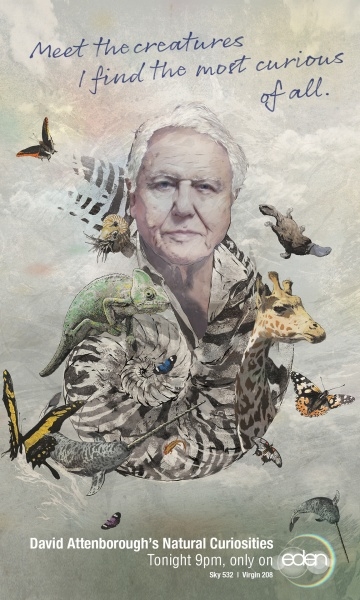  .    / David Attenborough's Natural Curiosities (2013)