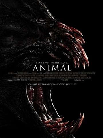  / Animal (2013)