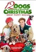 12   2 / 12 Dogs of Christmas: Great Puppy Rescue (2012)