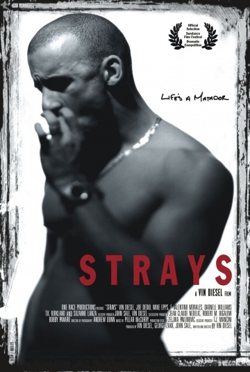  / Strays (1997)