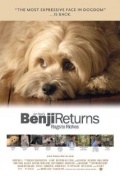   / Benji: Off the Leash! (2004)