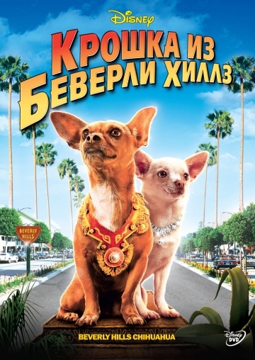   - / Beverly Hills Chihuahua (2008)