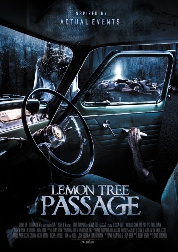    / Lemon Tree Passage (2013)