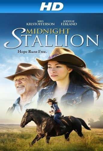   / Midnight Stallion (2013)