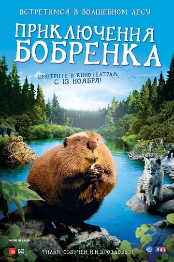   / M?che Blanche, les aventures du petit castor (2008)